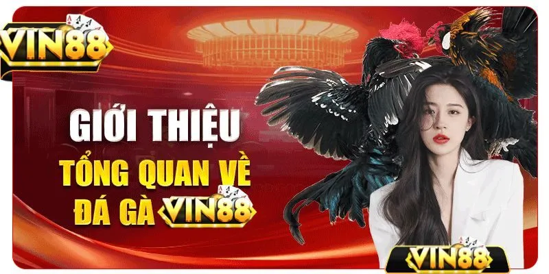 Đá gà Vin88 là gì?