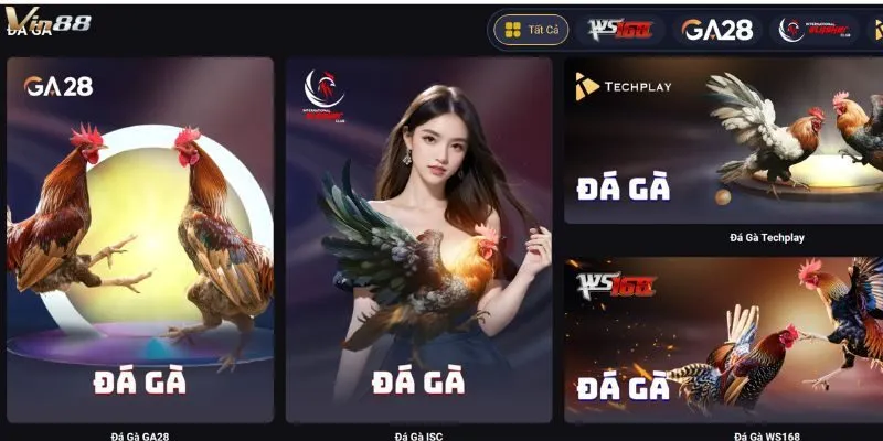 Hướng Dẫn Tham Gia Cá Cược Đá Gà Vin88